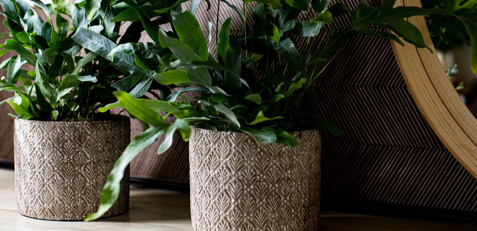 kő cement kaspó virágtartó