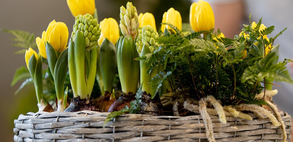 kőtál, cementtál, beton tál, kerámia tál, ültetőtál